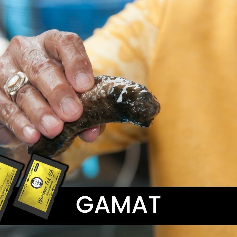 Gamat wta